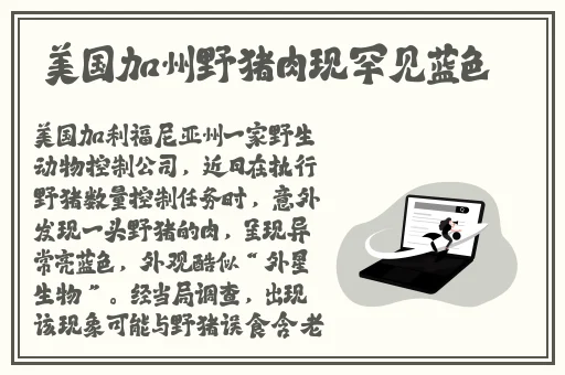 亚洲自拍另类小说综合图区